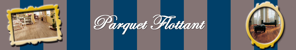 parquet flottant paris